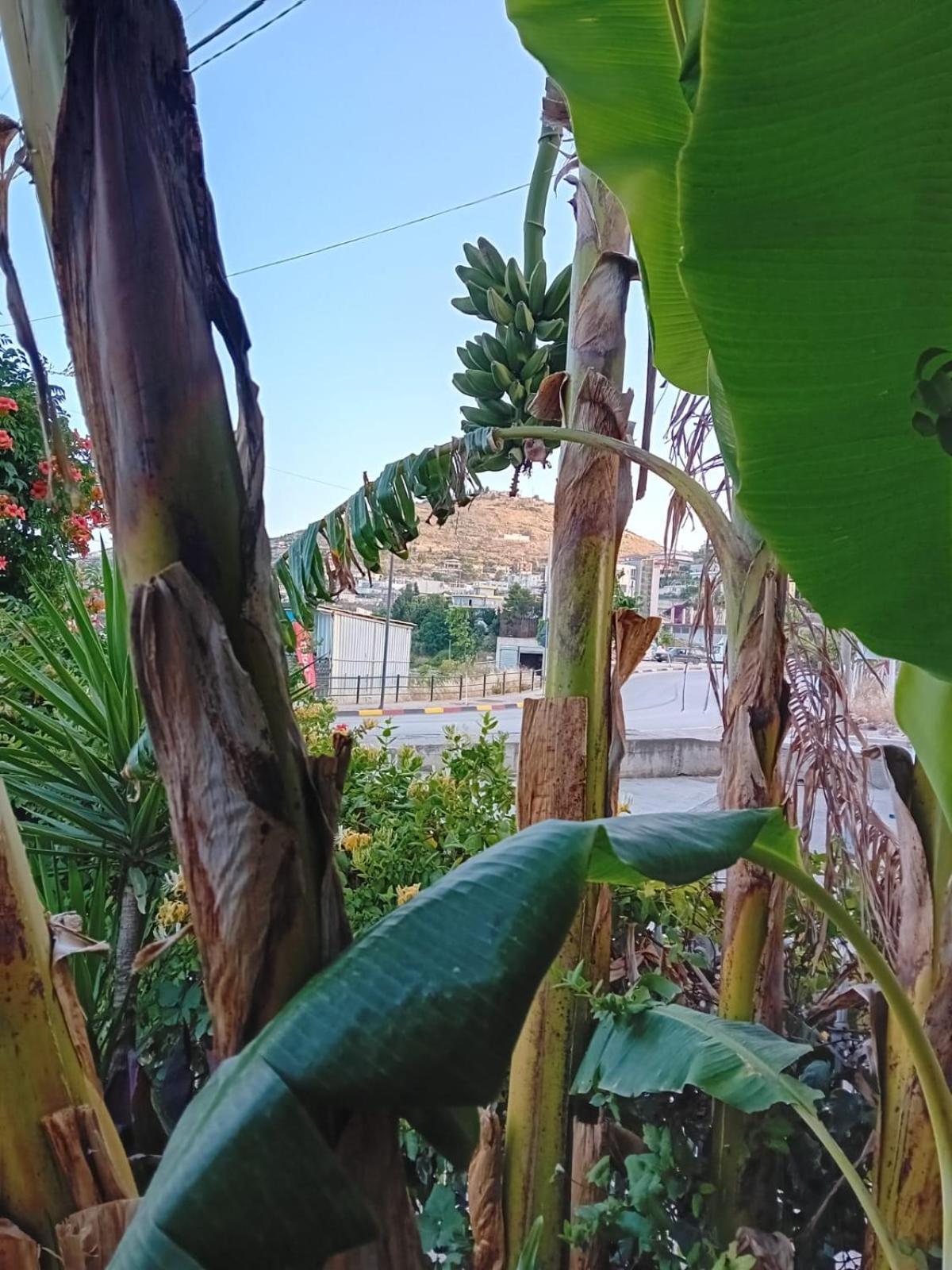 Villa Allkushi Sarande Bagian luar foto